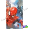 Marvel Pókember LED hátizsák