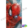 Marvel Pókember LED hátizsák