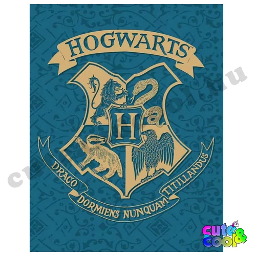 Harry Potter Roxfort kék polár takaró
