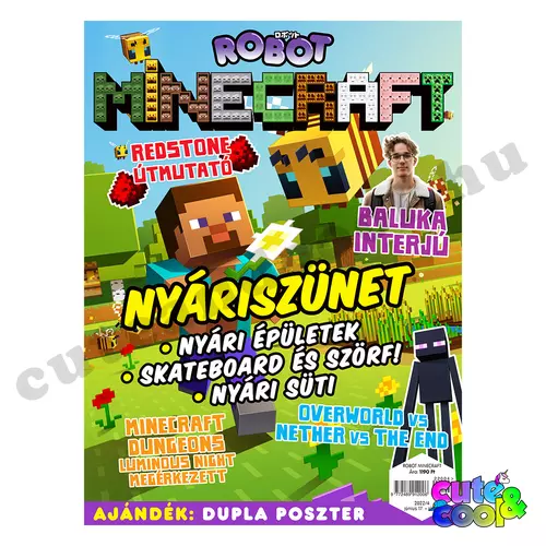 minecraft magazin havi lap