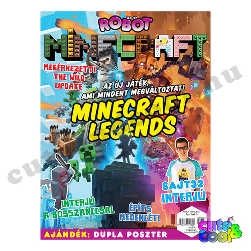 minecraft magazin